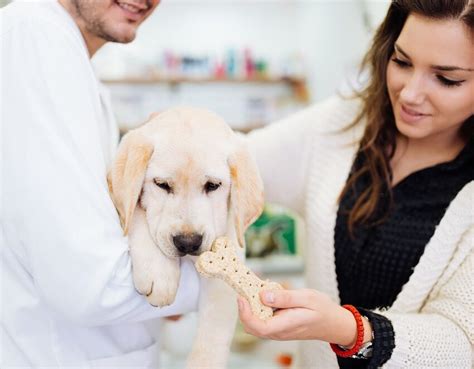 highland emergency vet|free emergency vet clinics.